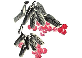 荔枝儿童水墨画画法