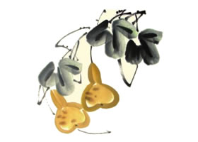 秋葫芦儿童水墨画画法