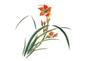 萱草儿童水墨画画法