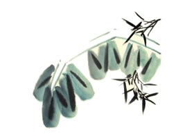 芭蕉儿童水墨画画法