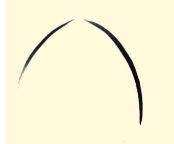 兰花儿童水墨画画法步骤01