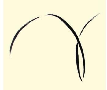 兰花儿童水墨画画法步骤02