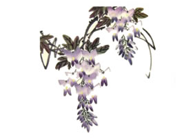 紫藤花儿童水墨画画法