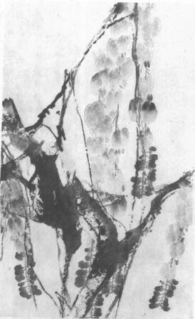 水墨画技法之点水法（藤罗花点水法）01