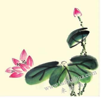 小荷花荷叶儿童水墨画画法步骤03