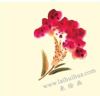 鸡冠花儿童水墨画画法步骤03