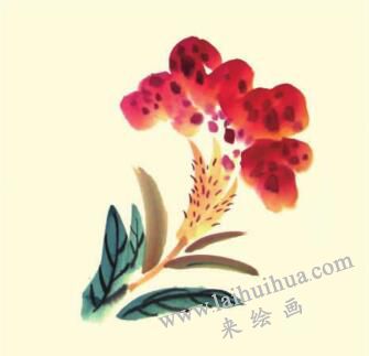 鸡冠花儿童水墨画画法步骤04