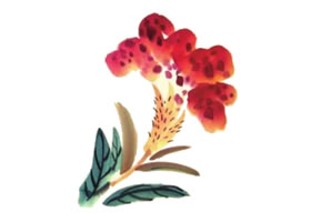 鸡冠花儿童水墨画画法