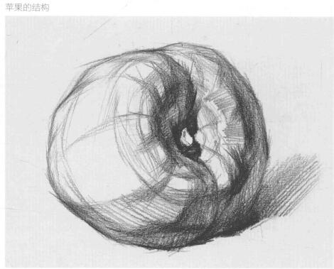 苹果的作画步骤与结构素描练习