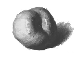 苹果的作画步骤与结构素描练习