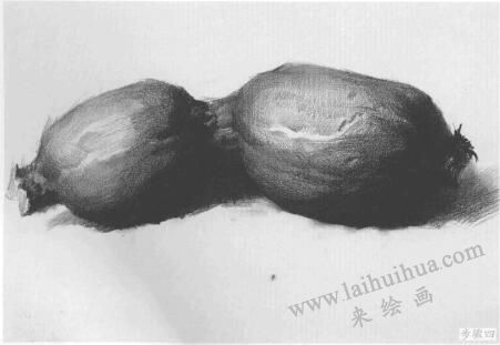 藕的作画步骤与结构素描练习04