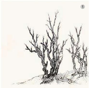 《绿湾春深》的画法步骤01