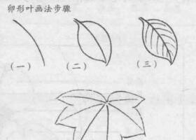 花卉白描画法的基本结构