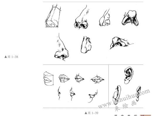 五官的造型特征，人物头部素描画法