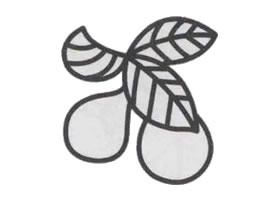 枇杷简笔画