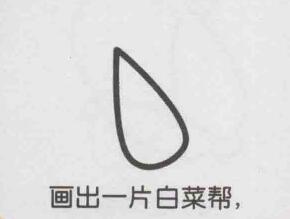 小白菜简笔画画法步骤01