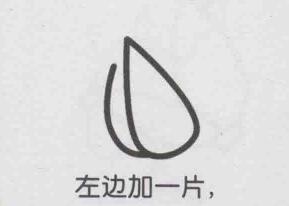 小白菜简笔画画法步骤02