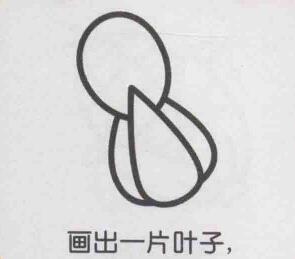 小白菜简笔画画法步骤04