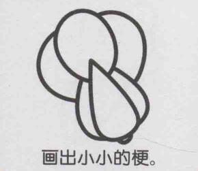 小白菜简笔画画法步骤07
