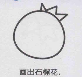 石榴简笔画画法步骤02