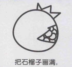 石榴简笔画画法步骤05