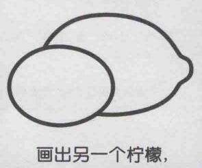 柠檬简笔画画法步骤03