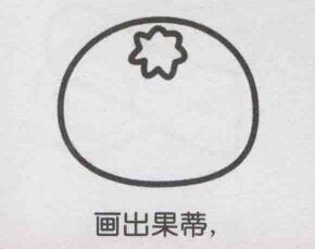 橘子简笔画画法步骤03