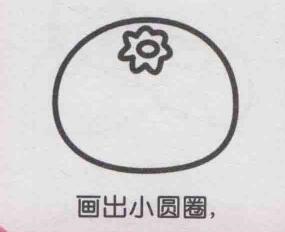 橘子简笔画画法步骤04