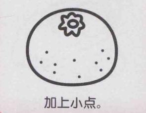 橘子简笔画画法步骤05