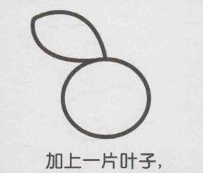 橙子简笔画画法步骤02