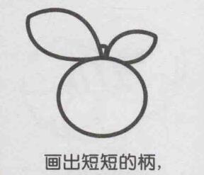 橙子简笔画画法步骤04
