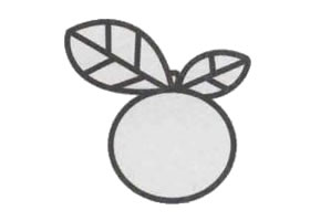 橙子简笔画
