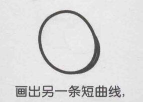 猕猴桃简笔画画法步骤02