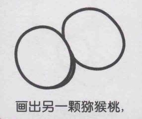 猕猴桃简笔画画法步骤03