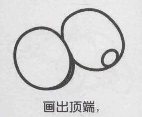 猕猴桃简笔画画法步骤04
