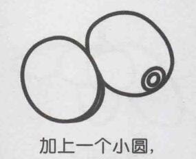 猕猴桃简笔画画法步骤05