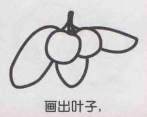 杨梅简笔画画法步骤05