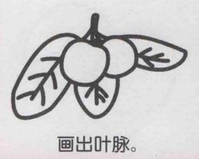 杨梅简笔画画法步骤06