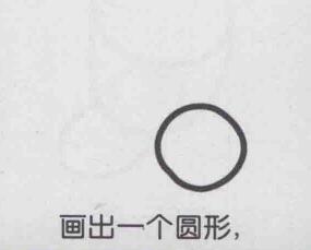 杏子简笔画画法步骤01