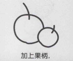 杏子简笔画画法步骤03