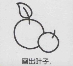 杏子简笔画画法步骤04