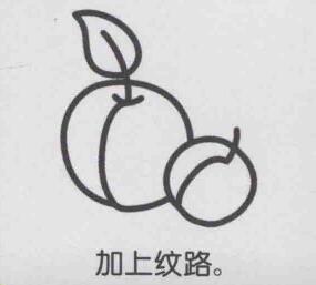 杏子简笔画画法步骤05