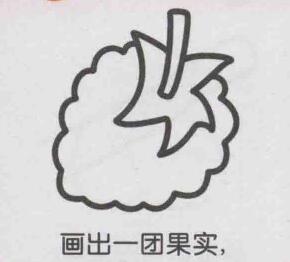 桑葚简笔画画法步骤03
