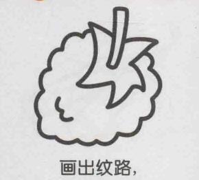 桑葚简笔画画法步骤04
