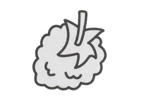 桑葚简笔画