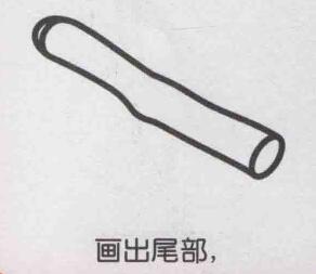 甘蔗简笔画画法步骤03