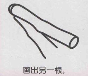 甘蔗简笔画画法步骤04