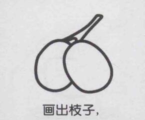 红枣简笔画画法步骤03
