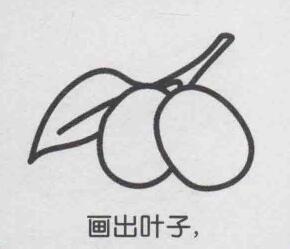 红枣简笔画画法步骤04