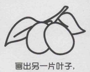 红枣简笔画画法步骤05